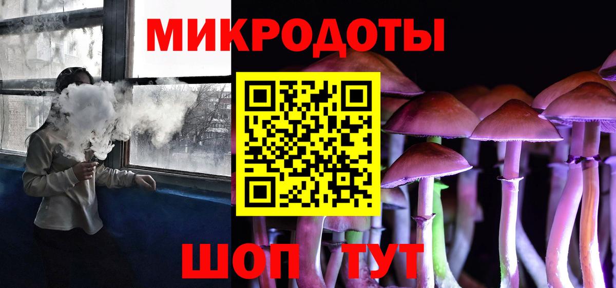 где купить   Вход с VPN  Буйнакск  Галлюциногенные грибы Psilocybe 